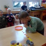 phoca_thumb_m_zajci a vtr 50 Fotogalerie